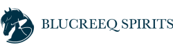 BluCreeq-FullColor-Horizontal-webpage-header